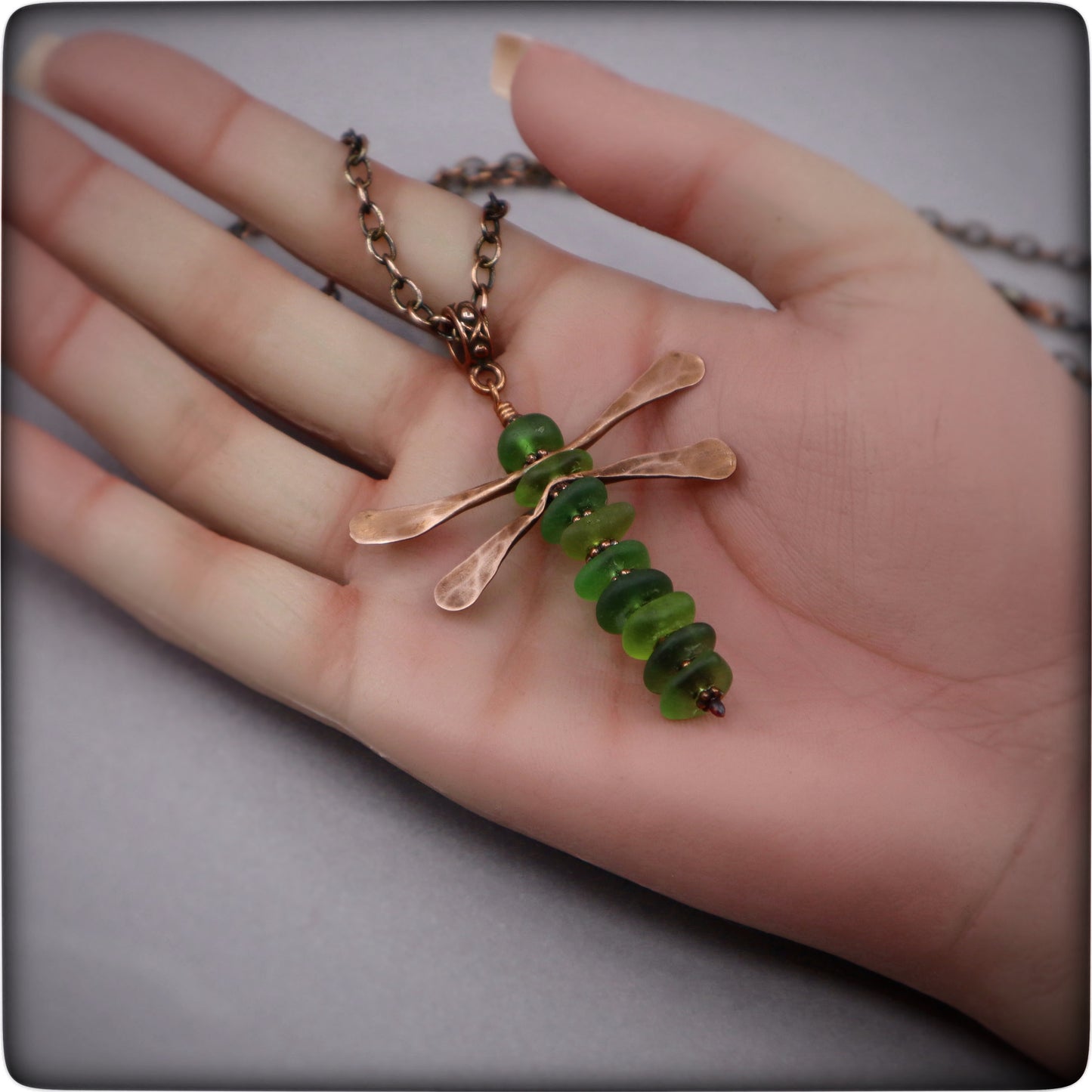 The Secret Lives of Dragonflies