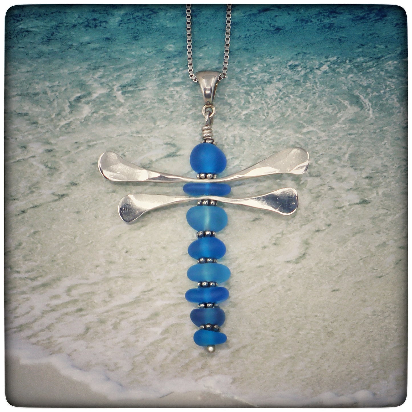 The Secret Lives of Dragonflies